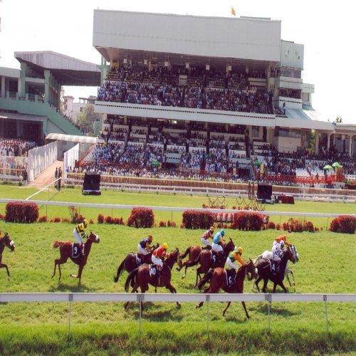 Horse race betting in hyderabad india cnbc sports betting show