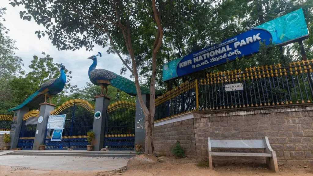 Kasu Brahmananda Reddy National Park — Best for Nature-Loving Families